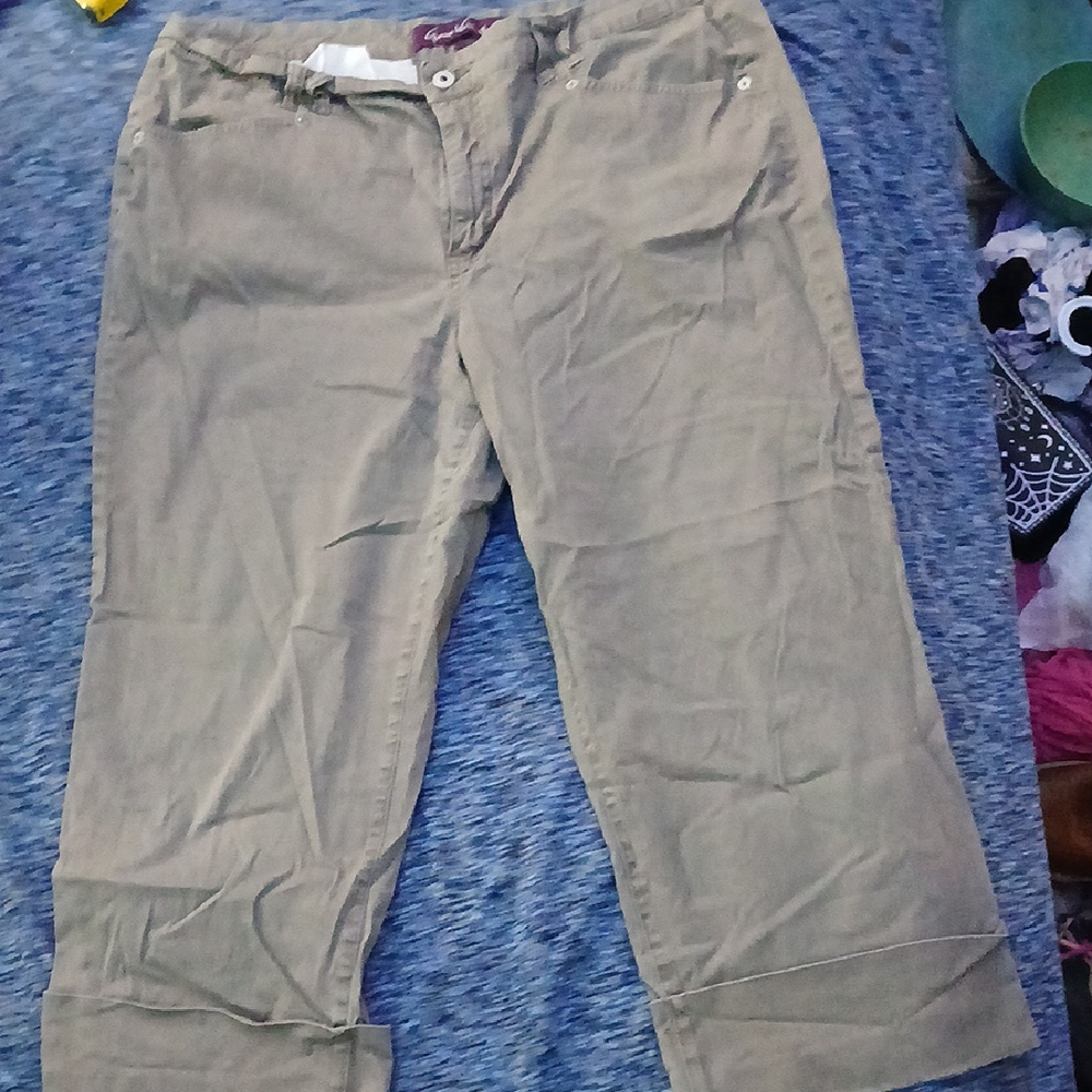 Gloria Vanderbilt Brown Pants